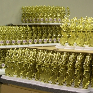 custom trophies Naperville